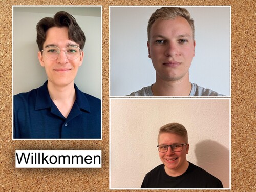 collage.jpg